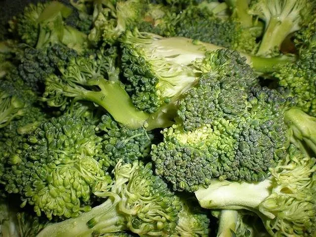 Broccoli