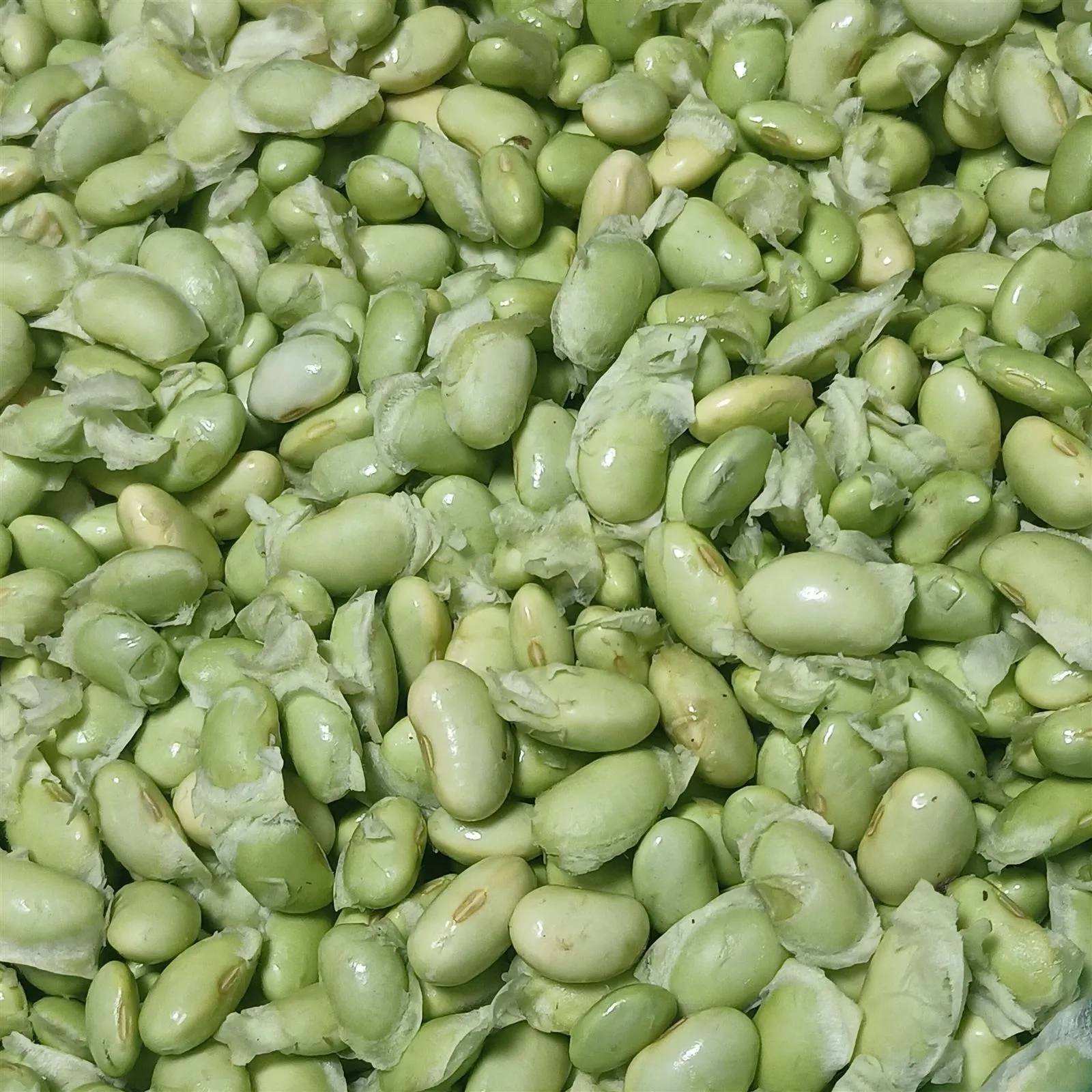 Edamame