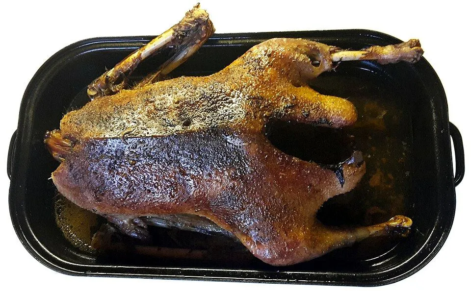 Goose breast