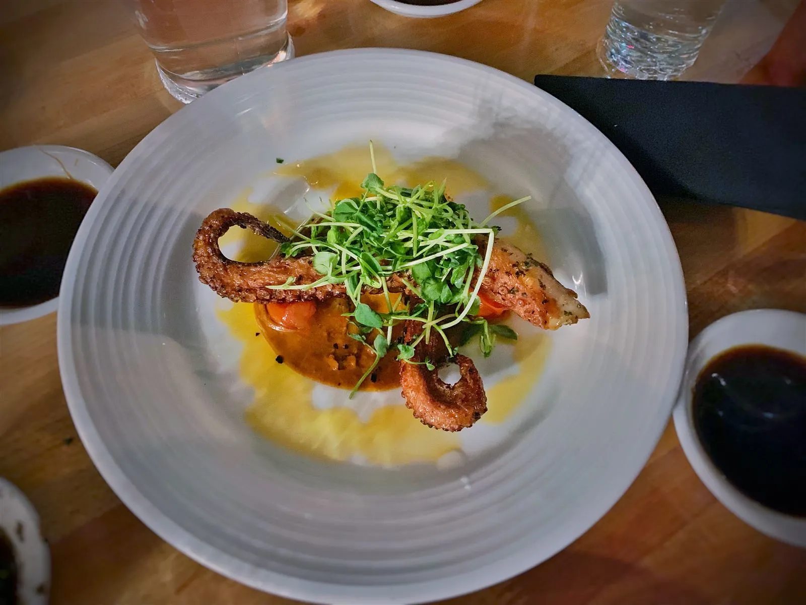 Octopus